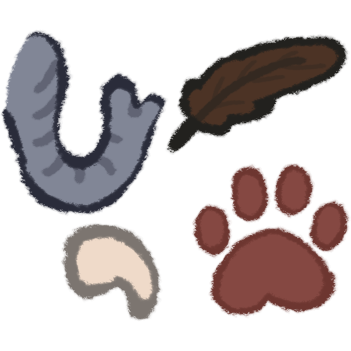 Four animal body parts grouped into a square but not connected to each other. There is a grey trunk, a white claw, a maroon paw print / paw pad, and a brown feather.
